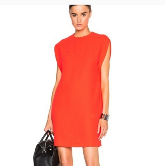 Alexander McQueen Dresses & Skirts - Alexander McQueen Shift Dress
